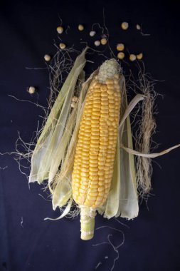 Lezzetli taze mısır siyah izole arkaplan görüntüsü