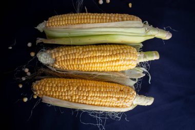 Lezzetli taze mısır siyah izole arkaplan görüntüsü