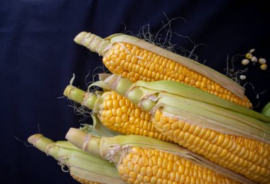 Lezzetli taze mısır siyah izole arkaplan görüntüsü