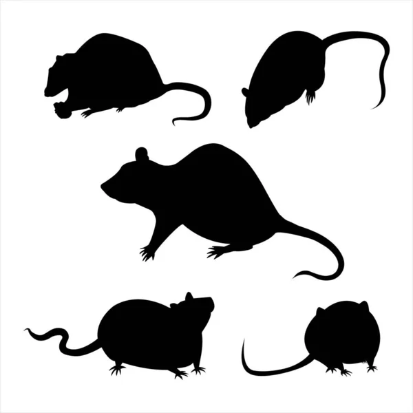 Set Rodent Silhouettes Isolated Contours Mice Rats Black Outlines White — Stock Vector