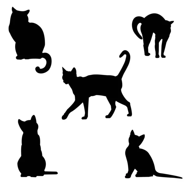 Zestaw Sylwetek Kotów Czarne Kontury Różnych Kotów Białym Tle Odizolowany — Wektor stockowy