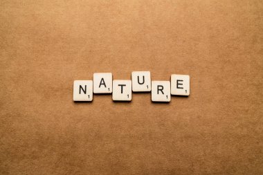 Londra, İngiltere - 24 Mayıs 2019: Doğa kelimesi kahverengi dokulu bir arka plan üzerinde ahşap harf karoları ile yazılmış