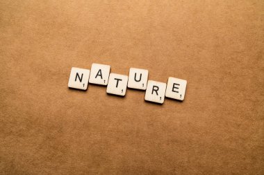 Londra, İngiltere - 24 Mayıs 2019: Doğa kelimesi kahverengi dokulu bir arka plan üzerinde ahşap harf karoları ile yazılmış