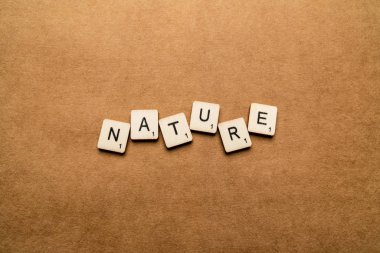 Londra, İngiltere - 24 Mayıs 2019: Doğa kelimesi kahverengi dokulu bir arka plan üzerinde ahşap harf karoları ile yazılmış