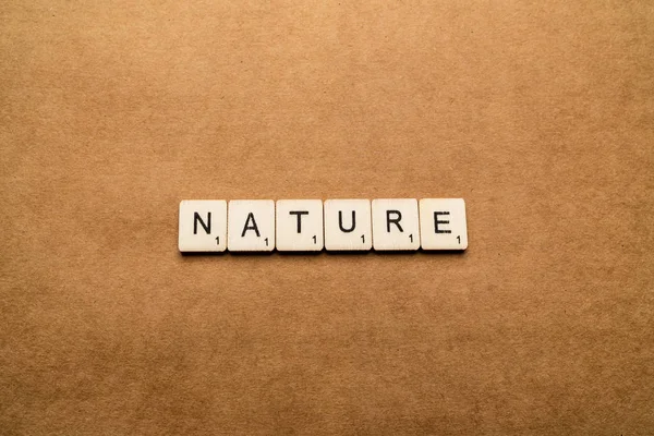 London, uk - 24. Mai 2019: das Wort natur mit hölzernen Buchstabenkacheln vor braunem strukturiertem Hintergrund — Stockfoto