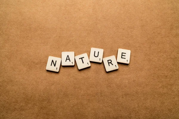 Londra, İngiltere - 24 Mayıs 2019: Doğa kelimesi kahverengi dokulu bir arka plan üzerinde ahşap harf karoları ile yazılmış — Stok fotoğraf