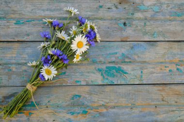 Yeşil tahta üzerinde bir demet yabani bitki, beyaz papatya ve mavi çiçek. Çiçek kompozisyonu.