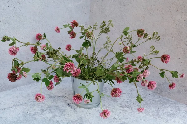 Beyaz bir arka planda saksıda pembe yonca buketi
