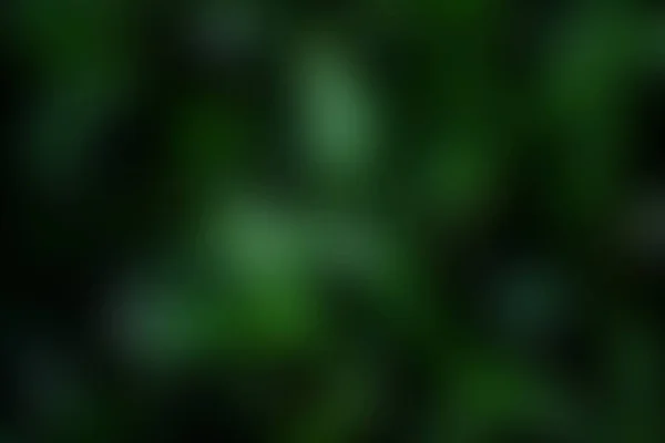 Bokeh Ile Soyut Doğa Yeşil Bulanık Arkaplan — Stok fotoğraf