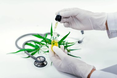 Laboratuvardaki bilim adamı bir marihuana bitkisinden çıkarılan cbd yağını test ediyor. Tıbbi esrar kaynaklı sağlık eczanesi.