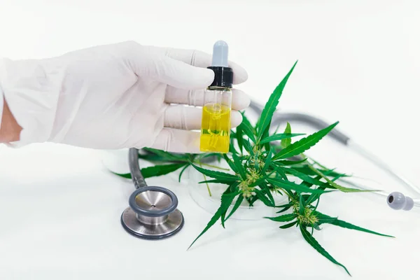 Cientista Testes Laboratoriais Óleo Cbd Extraído Uma Planta Maconha Farmácia — Fotografia de Stock