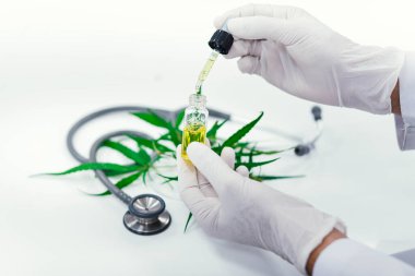 Laboratuvardaki bilim adamı bir marihuana bitkisinden çıkarılan cbd yağını test ediyor. Tıbbi esrar kaynaklı sağlık eczanesi.
