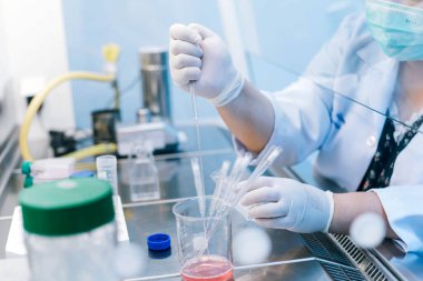 Bilim adamı biyo-koruma dolabında damlalık pipet transfer örneğini kullanıyor.