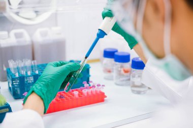 Biyolojik koruma dolabındaki PCR testi için pipet transfer örneğini mikro santrifüj tüpüne kullanarak bilim adamını kapat..