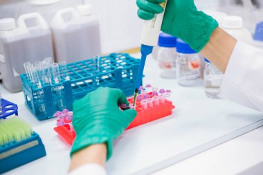 Biyolojik koruma dolabındaki PCR testi için pipet transfer örneğini mikro santrifüj tüpüne kullanarak bilim adamını kapat..