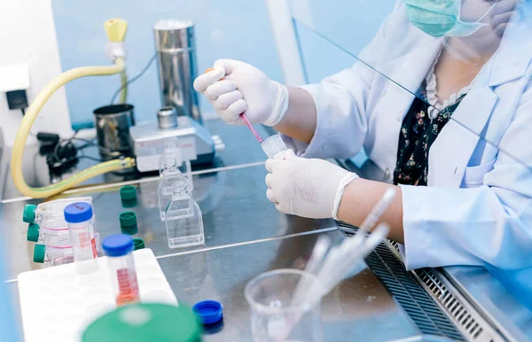 scientist using dropper pipette transfer sample in Biosafety cabinet