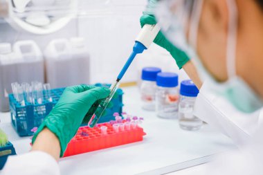 Genç bilim adamı, biyo-koruma dolabındaki PCR testi için mikro santrifüj tüpüne pipet transfer numunesi kullanıyor..