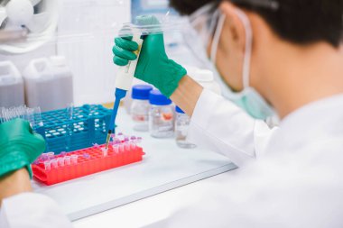 Genç bilim adamı, biyo-koruma dolabındaki PCR testi için mikro santrifüj tüpüne pipet transfer numunesi kullanıyor..