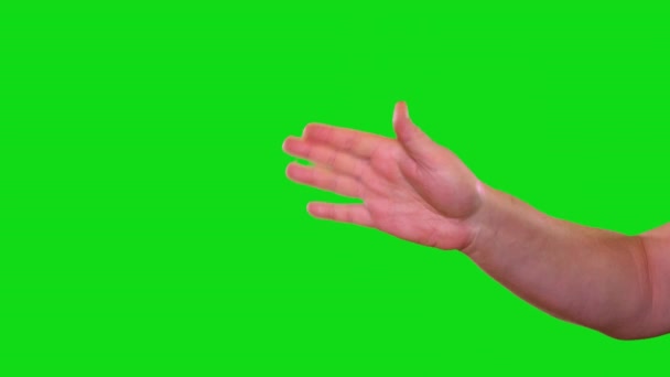 Female Hand Sign Waving Green Screen — Stock Video
