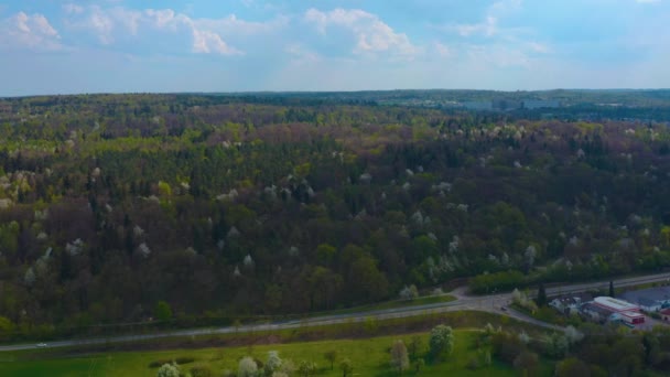 Primavera Bosque Negro Alemania — Vídeos de Stock
