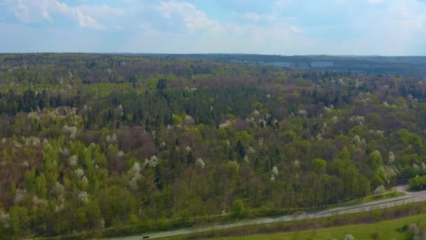 Primavera Bosque Negro Alemania — Vídeos de Stock