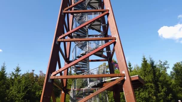 Primo Piano Della Torre Avvistamento Nel Bosco — Video Stock