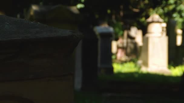 Подорож Кладовище Штутгарті — стокове відео