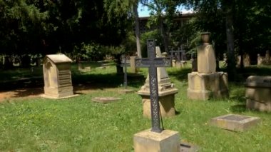  Stuttgart 'ta bir mezarlıkta yürüyorum.