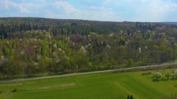 Vista Aérea Del Bosque Negro Domingo Pascua Con Árboles Florecientes — Vídeos de Stock