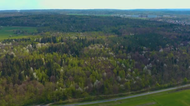 Vista Aérea Del Bosque Negro Domingo Pascua Con Árboles Florecientes — Vídeo de stock