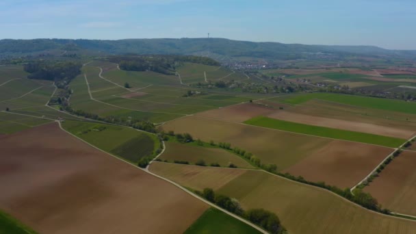 早春の晴れた朝にドイツの都市のSchweigner周辺のフィールドやブドウ畑の空中ビュー — ストック動画