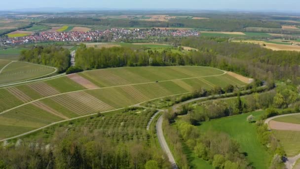 Flygfoto Över Fält Och Vingårdar Runt Staden Schweigern Tyskland Solig — Stockvideo