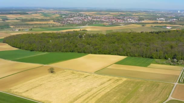 Aerial View Fields Vineyards City Schweigern Germany Sunny Morning Early — Stock Video