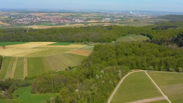 Vista Aérea Campos Viñedos Alrededor Ciudad Schweigern Alemania Una Mañana — Vídeo de stock