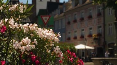 Yazın güneşli bir günde Almanya 'nın Freiburg im Breisgau şehrinde.