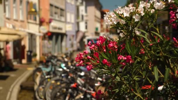 Παλιά Πόλη Της Πόλης Freiburg Breisgau Στη Γερμανία Μια Ηλιόλουστη — Αρχείο Βίντεο