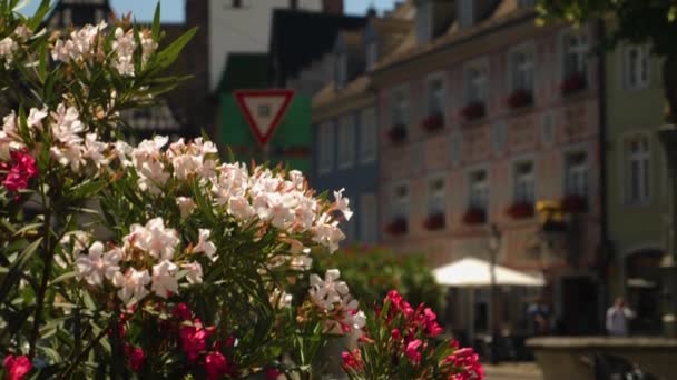 Città Vecchia Della Città Freiburg Breisgau Germania Una Giornata Sole — Video Stock