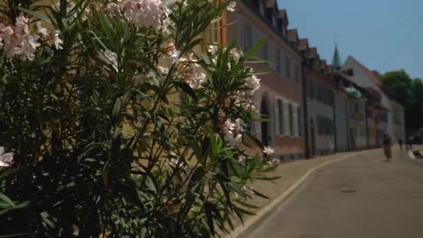 Casco Antiguo Ciudad Freiburg Breisgau Alemania Día Soleado Verano — Vídeo de stock