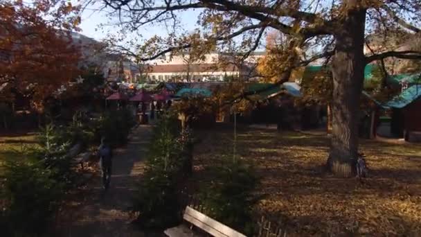 クリスマスの間の晴れた日にカールスルーエのダウンタウン — ストック動画