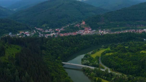 Aéreo Cidade Ersheim Lado Castelo Hirschhorn Rio Neckar Dia Ensolarado — Vídeo de Stock