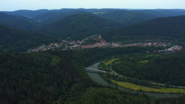 Zdjęcie Miasta Ersheim Tuż Obok Zamku Hirschhorn Nad Rzeką Neckar — Wideo stockowe