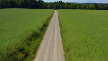 Kara Orman Almanya 'sında tarlalar ve yol havası. Kamera yolu takip eder ve sonra ağaçların üzerinden yükselir..