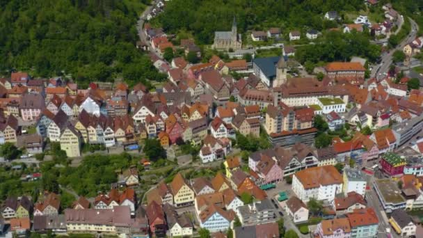 Aérea Ciudad Horb Neckar Selva Negra Alemania — Vídeos de Stock