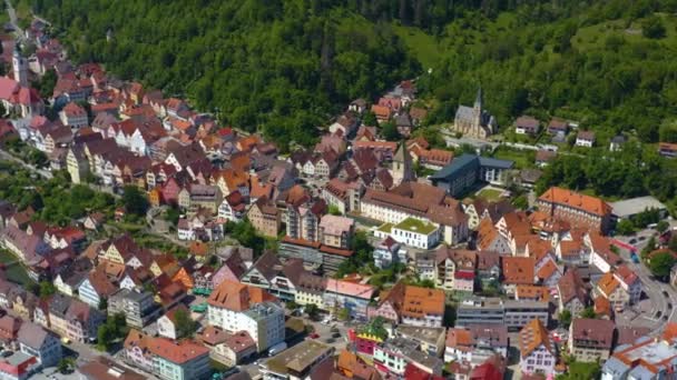 Aérea Ciudad Horb Neckar Selva Negra Alemania — Vídeos de Stock