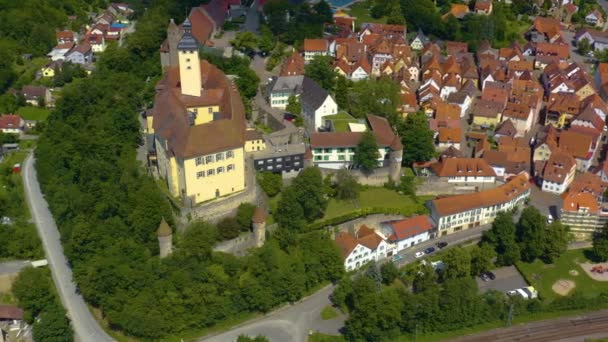 Légi Kilátás Város Gundelsheim Vár Horneck Németországban Fordulj Jobbra Dőlj — Stock videók