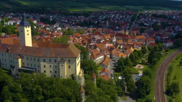 Vista Aérea Desde Ciudad Gundelsheim Castillo Horneck Alemania Pan Derecha — Vídeos de Stock