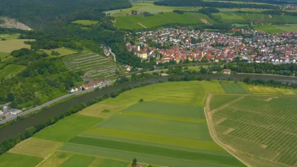 Aerial View City Gundelsheim Castle Horneck Germany Pan Right Tilt — Stock Video