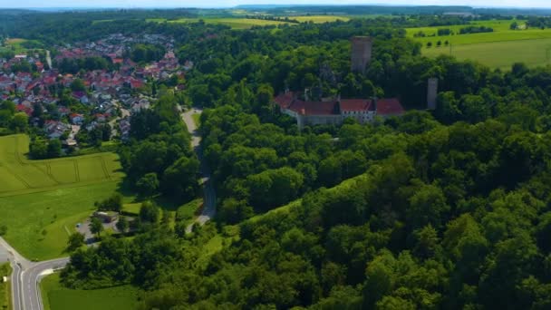 Vista Aérea Del Castillo Ehrenberg Cerca Del Pueblo Heinsheim Alemania — Vídeos de Stock