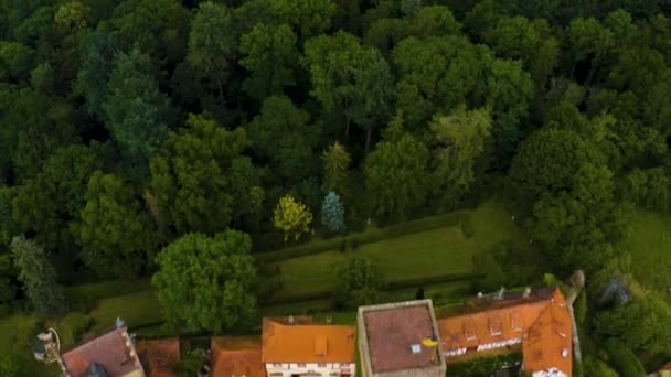 Aerial View Village Castle Gamburg Germany Late Afternoon Spring — Stock Video