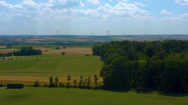 Wind Turbines Trees Sunshine Germany — Stock Video